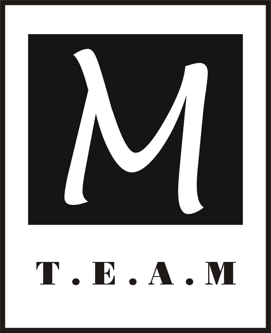 M Team navbar logo